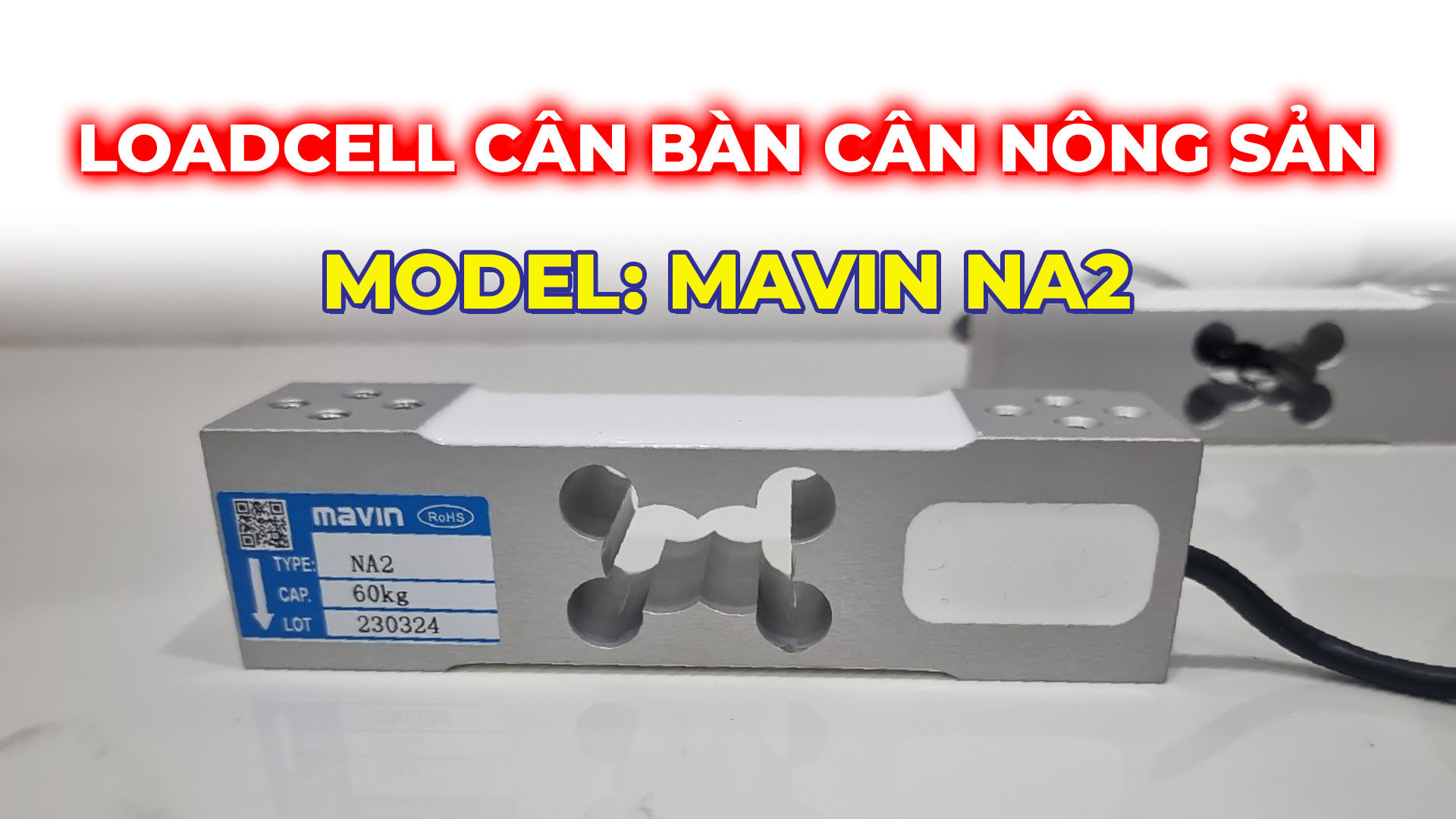 loadcell cân nông sản cân bàn mavin na2